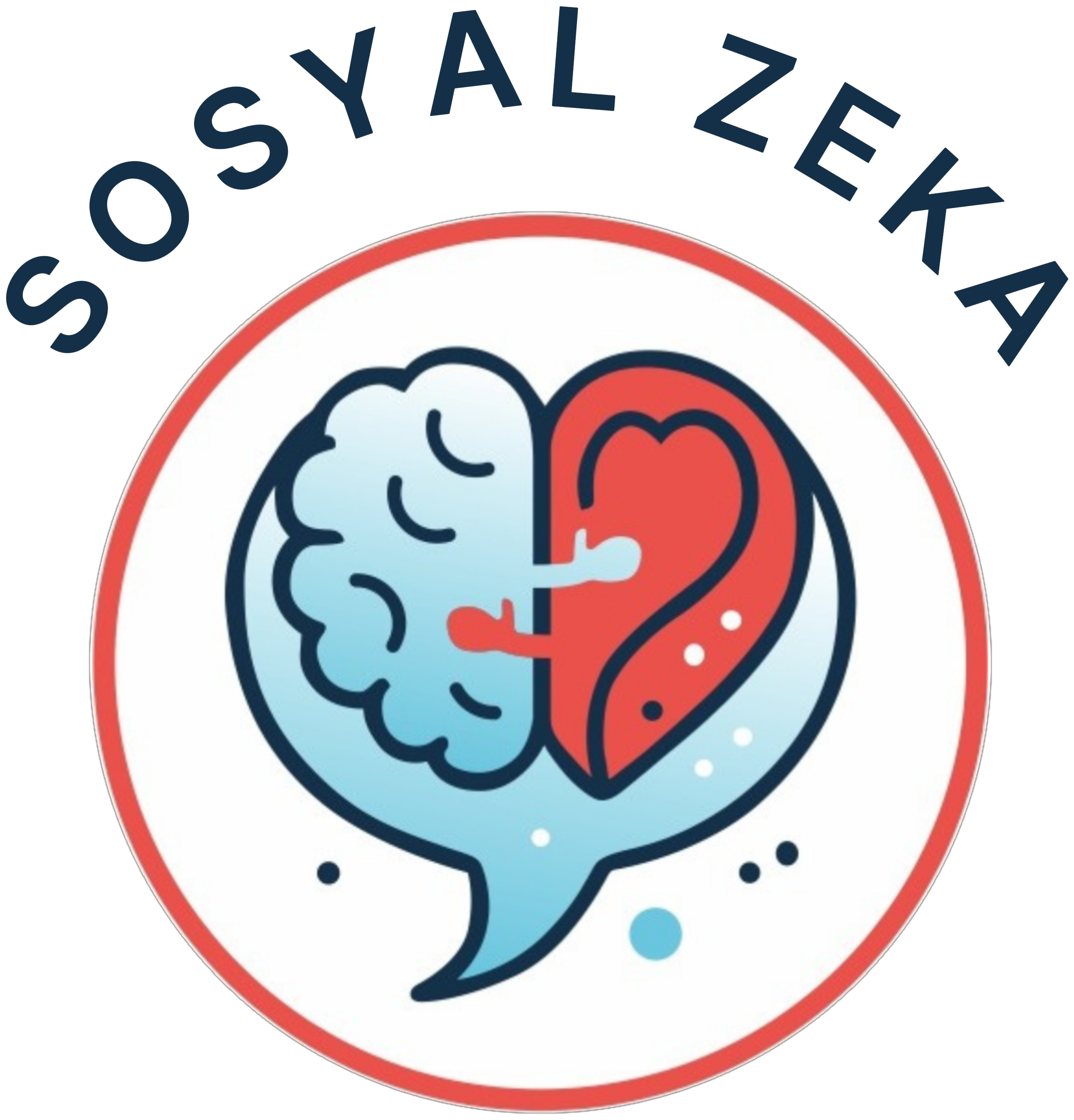 Sosyal Zekâ